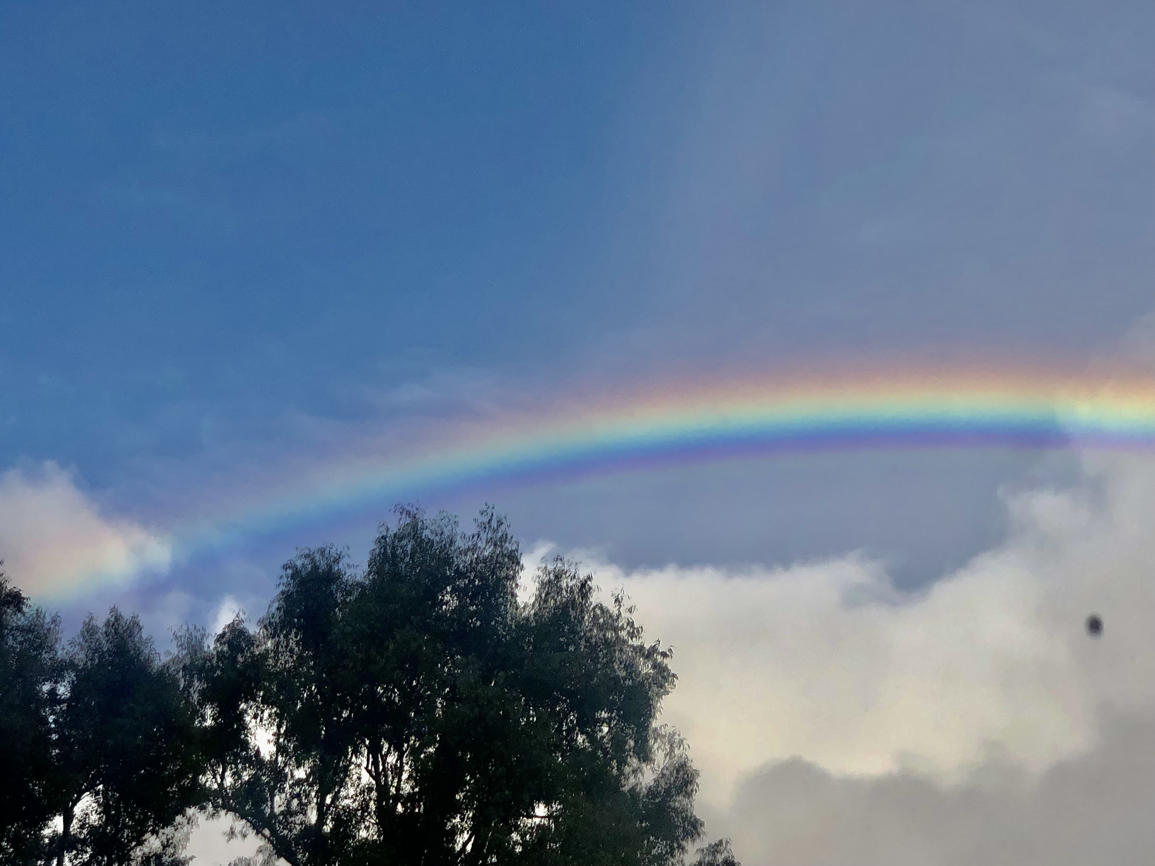 Oak Tree Club After School Enrichment Program