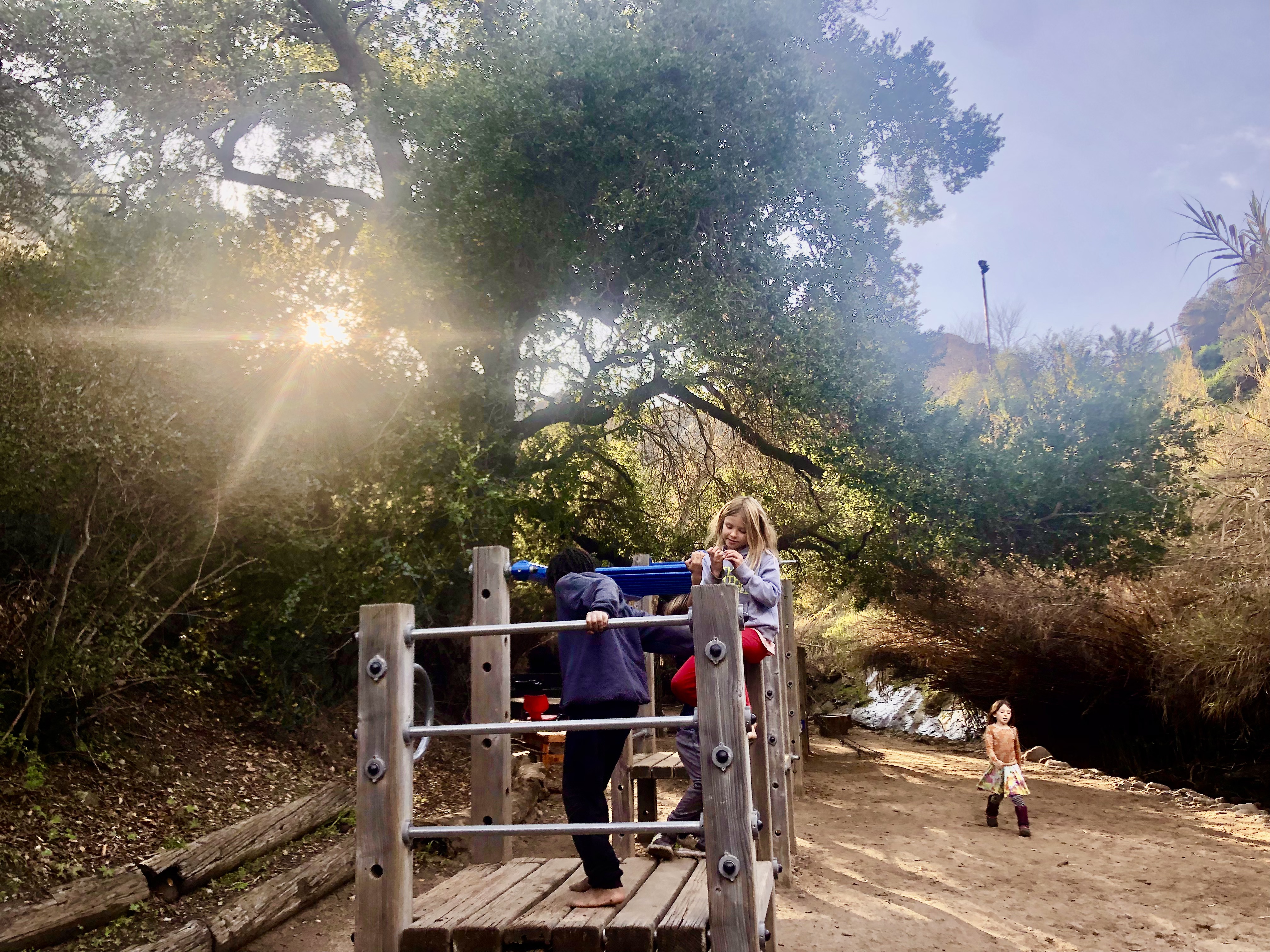 Oak Tree Club